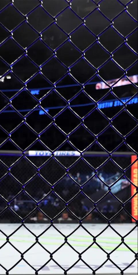 UFC
