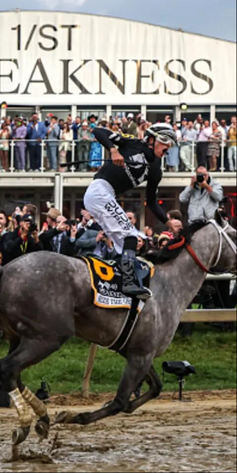 Preakness Picks