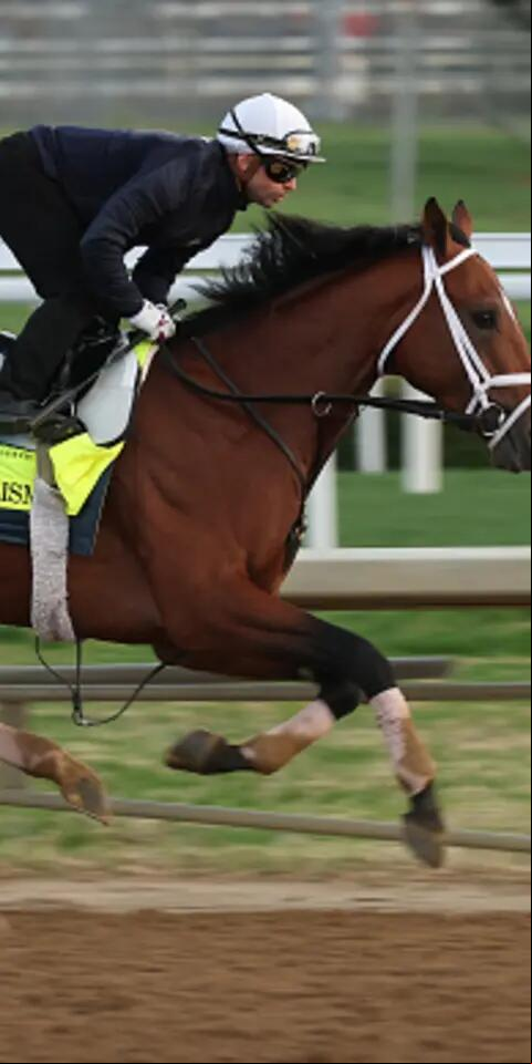 Kentucky Derby Picks