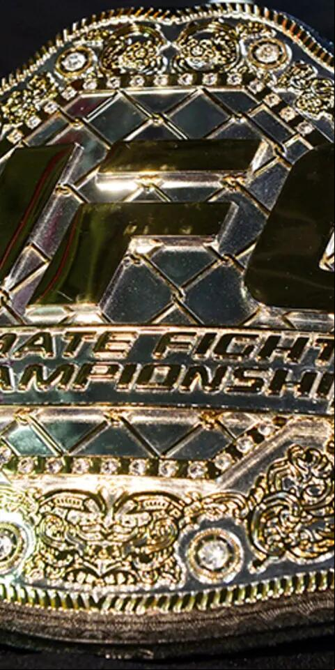 Betting odds in the UFC explained