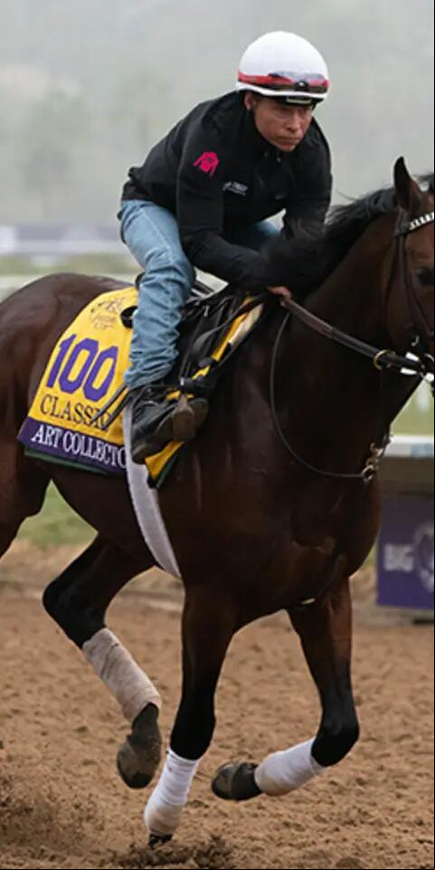 Art Collector is an interesting bet among Breeders' Cup horses.